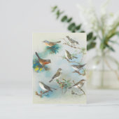 Warbler und Wrens Postkarte (Stehend Vorderseite)