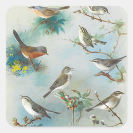 Warbler und Wrens Quadratischer Aufkleber