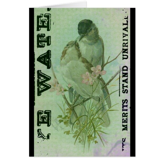 Warbler Vintage (Vorne)
