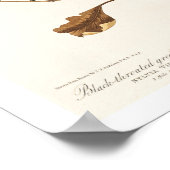 Warbler von Audubon Poster (Ecke)