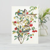 Warbler von John James Audubon Dankeskarte (Stehend Vorderseite)