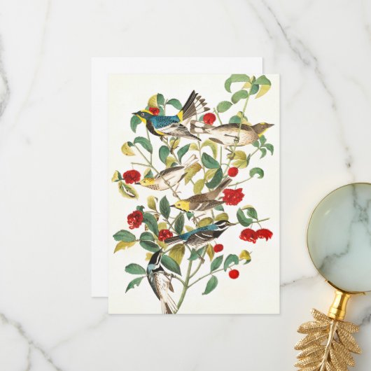Warbler von John James Audubon Dankeskarte (Vorderseite/Rückseite Beispiel)