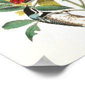 Warbler von John James Audubon Poster (Ecke)