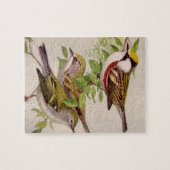 Warbler von Louis Agassiz Fuärtes Puzzle (Horizontal)