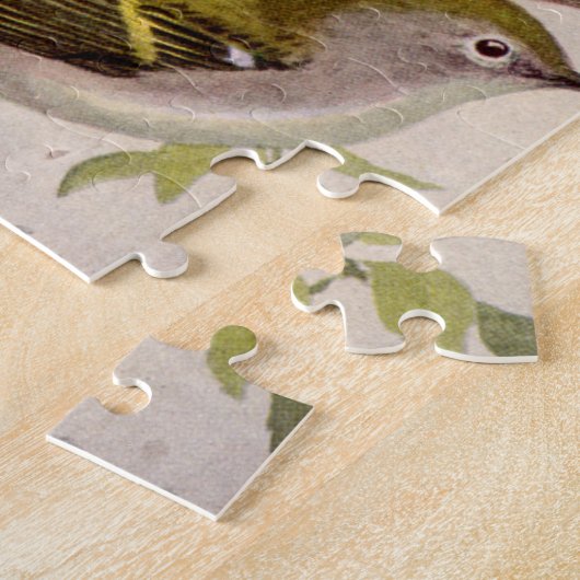 Warbler von Louis Agassiz Fuärtes Puzzle (Seite)