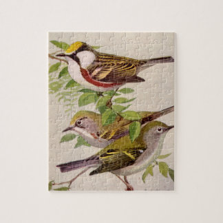 Warbler von Louis Agassiz Fuärtes Puzzle