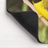 Warbler Wilsonia citrina) Mousepad (Ecke)