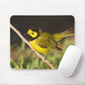 Warbler Wilsonia citrina) Mousepad (Mit Mouse)
