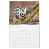 Warblers 12-Monats-Mauerkalender 2026 Kalender (Jan 2026)