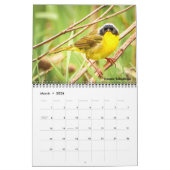 Warblers 12-Monats-Mauerkalender 2026 Kalender (Mär 2026)