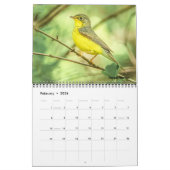 Warblers 12-Monats-Mauerkalender 2026 Kalender (Feb 2026)