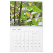 Warblers-Kalender Kalender (Jan 2027)