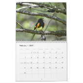 Warblers-Kalender Kalender (Feb 2027)