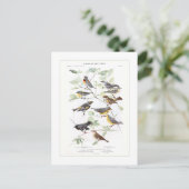 Warblers Postkarte (Stehend Vorderseite)