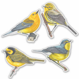 Warblers Stickers Value Pack Aufkleber