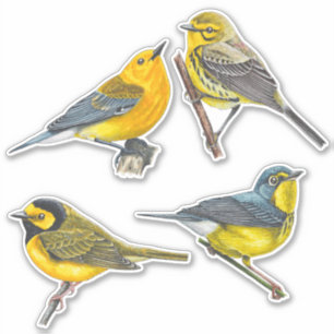 Warblers Stickers Value Pack Aufkleber