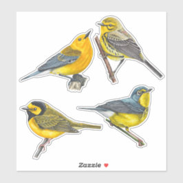 Warblers Stickers Value Pack Aufkleber