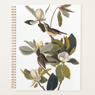 Warbling Flycatcher Kingbirds Vintag Audubon Planer