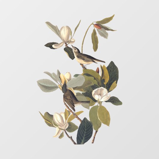 Warbling Flycatcher Kingbirds Vintag Audubon Pock Fensteraufkleber (Blatt)