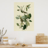 Warbling Flycatcher Poster (Küche)