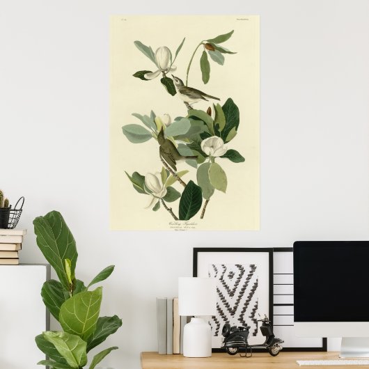 Warbling Flycatcher Poster (Heimbüro)