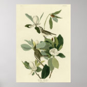 Warbling Flycatcher Poster (Vorne)