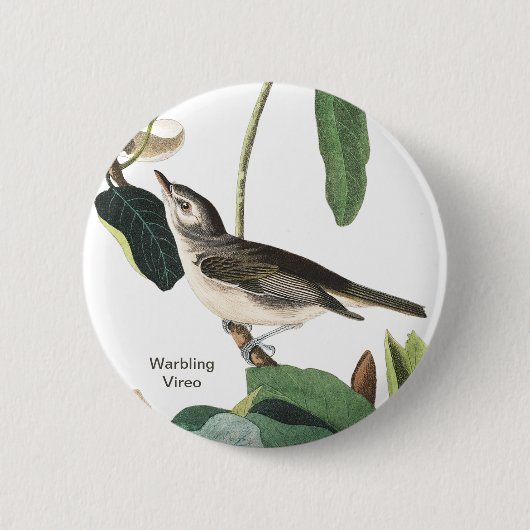 Warbling Vireo John James Audubon Birdwatcher Bird Button (Vorderseite)