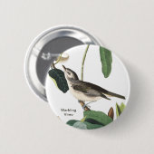 Warbling Vireo John James Audubon Birdwatcher Bird Button (Vorne & Hinten)