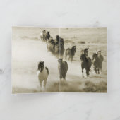 Warbonnet's Stolz Wild Horse Grußkarte Karte (Innenseite)