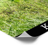 Ward Lake in Ketchikan, Alaska Poster (Ecke)