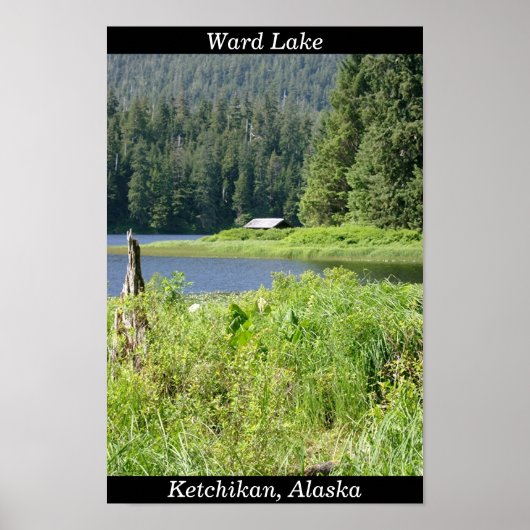 Ward Lake in Ketchikan, Alaska Poster (Vorne)
