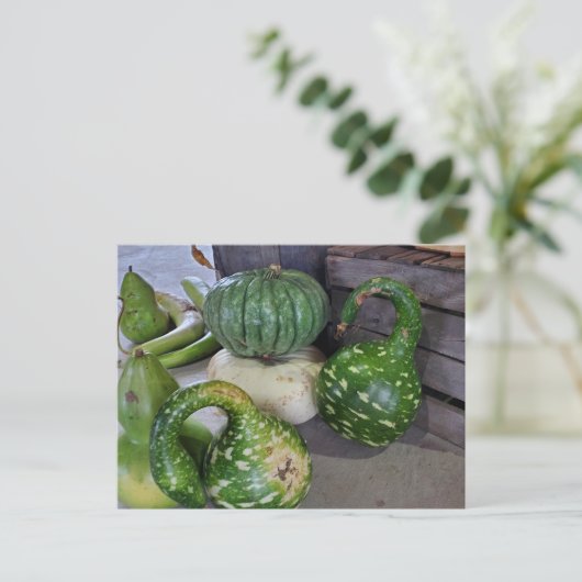 Waren Postkarte (Stehend Vorderseite)