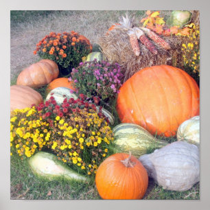 Waren und Pumpkins Poster