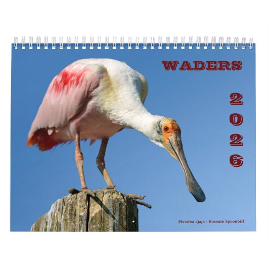 Warenkalender Kalender (Titelbild)