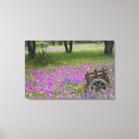 Warenkorb auf dem Feld Phlox, Blauer Bonnets Leinwanddruck (Vorderseite)