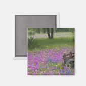 Warenkorb auf dem Feld Phlox, Blauer Bonnets Magnet (Vorderseite/Rückseite)