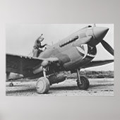 Warhawk P40 1943 Poster (Vorne)