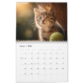 Warm Aesthetic Animal | Cozy Cat Photography Wall Kalender (Mär 2026)