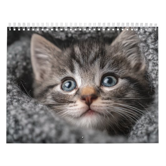 Warm Aesthetic Animal | Cozy Cat Photography Wall Kalender (Titelbild)