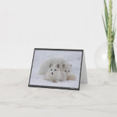 Warm behalten karte (Vorderseite)