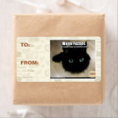 Warm Fuzzies (Insitu)