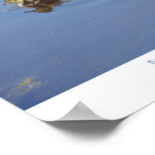 Warm Fuzzies Poster (Ecke)