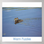 Warm Fuzzies Poster (Vorne)
