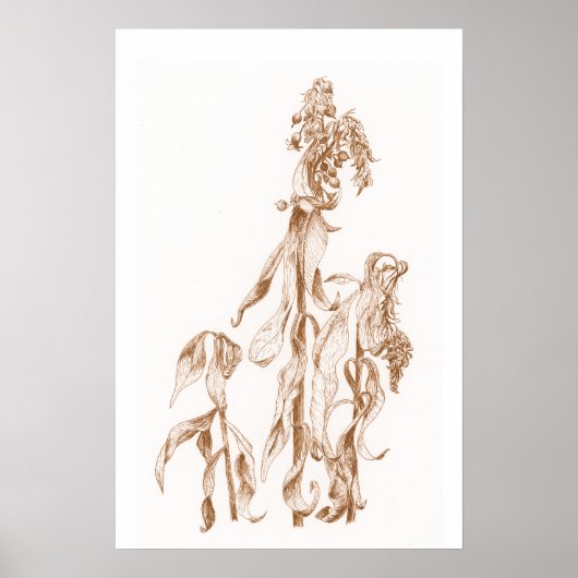 Warm Seasonal Botanical Ink Art Elegant Wall Poster (Vorne)
