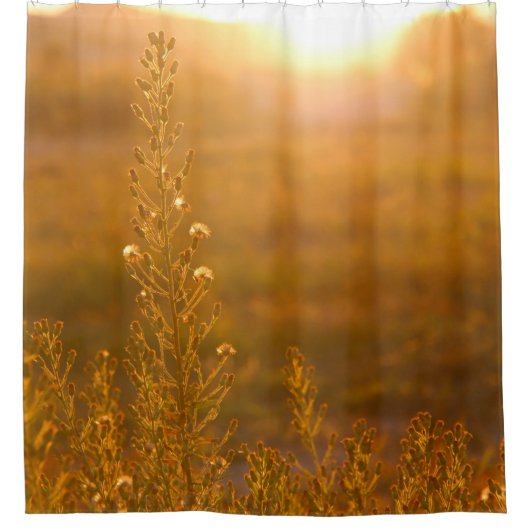WARM SHOT OF MEADOW GRASS DUSCHVORHANG (Vorderseite)