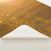 WARM SHOT OF MEADOW GRASS SHERPADECKE (3/4)
