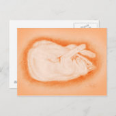 Warm wie ein Feuerwerk Postkarte (Vorne/Hinten)