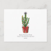 Warm wünscht Weihnachtskaktus Feiertagspostkarte (Vorderseite)