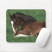 Warmblood Fohlen-Niederlegung Mousepad (Mit Mouse)