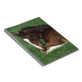 Warmblood Fohlen-Niederlegung Notizblock (Rechte Seite)